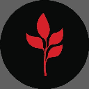 Mars Meme Inc Akcija