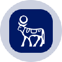 Novo Nordisk Tokenized Stock (Ondo) Acción