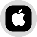 Apple Tokenized Stock (Ondo) Akcija