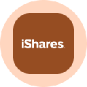 iShares Silver Trust Tokenized ETF (Ondo) Acción