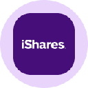 iShares Core MSCI Emerging Markets Tokenized ETF (Ondo) Akcija
