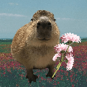 capybara Stock