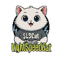 Light Speed Cat V2 Aktie