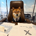 Flōki (flokimeme.world) Stock