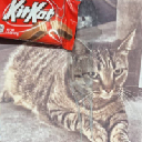 Remember KitKat Acțiune