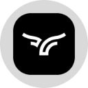 Bullish Tokenized Stock (Ondo) Acțiune