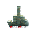 Dumb Money Azione
