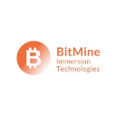 Bitmine Immersion Technologies (Derivatives) Stock