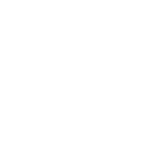 RIV Coin Aktie