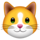 KittenFinance Aktsia