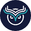 Wise Token Aktie