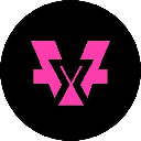 VidyX Stock