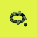 Moss Carbon Credit Stock