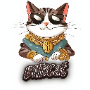 BilliCat Aktie