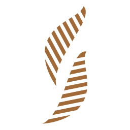 Dalqan Group Holding Co.