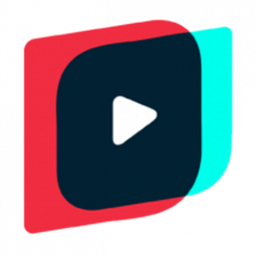 Data Image Corp