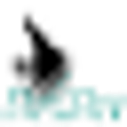 Defi Dev LLC