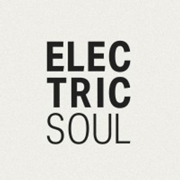 Electricsoul LLC