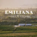 Vinedos Emiliana 股票