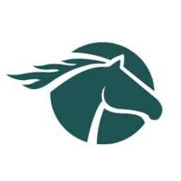 Equus Mining Aktie