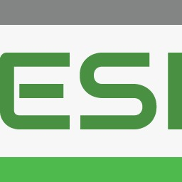 Esi SpA