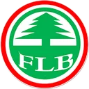 Focus Lumber Bhd Action