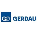Gerdau Action