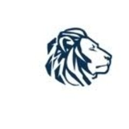 Global Li-Ion Graphite Aktie