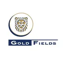 Gold Fields Stock