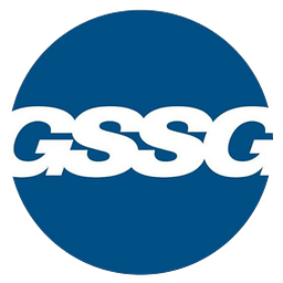 GSSG HOLDINGS LLC
