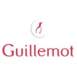 Guillemot Corporation