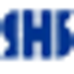 HS Valve Co