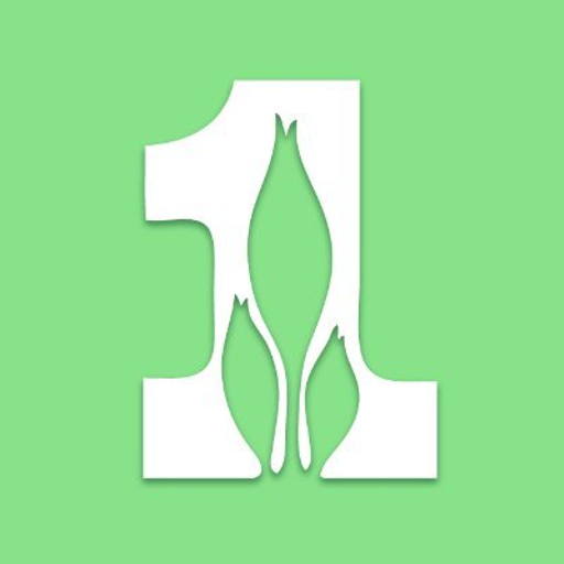 First Farmers Financial