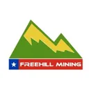 Freehill Mining Stock