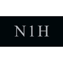 N1 Holdings Stock