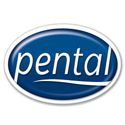 Prestal Holdings Aktie