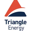 Triangle Energy (Global) Action