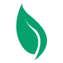 Little Green Pharma Aktie