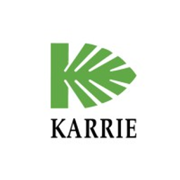Karrie International Holdings Ltd Aktie