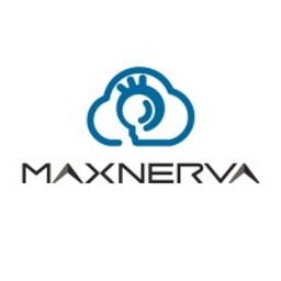 Maxnerva Technology Services Ação