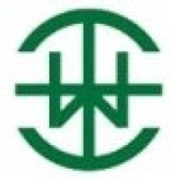 Wong's International Holdings Ltd Aktie