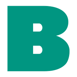 BADGER INFRASTRUCTURE SOLUTIONS LT