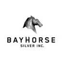 Bayhorse Silver Aksje