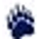 Bearclaw Capital Action