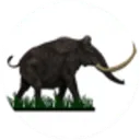 Black Mammoth Metals Aksje