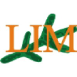 Labrador Iron Mines Holdings Aktie