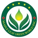 Maple Leaf Green World Stock