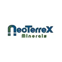 NeoTerrex Minerals Ação