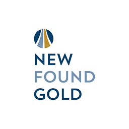 New Found Gold Aandeel
