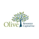 Olive Resource Capital Aksje